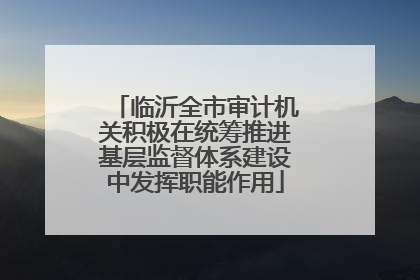 临沂全市审计机关积极在统筹推进基层监督体系建设中发挥职能作用
